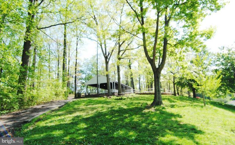 5818 Atteentee Road Springfield, VA 22150 - Photo 7 of 22 Lake Accotink picnic pavillion