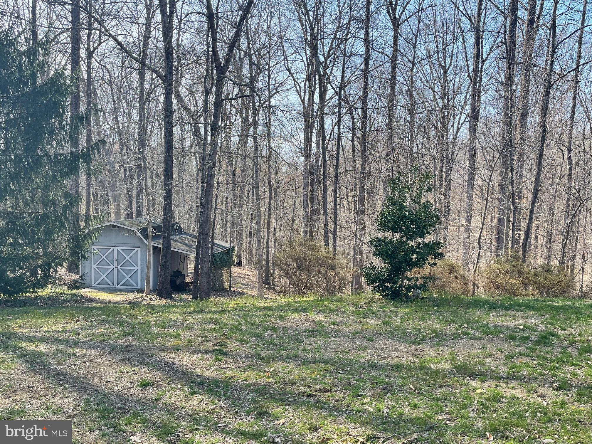 960 Dalrymple Road Sunderland, MD 20689 - Photo 5 of 13 Shed