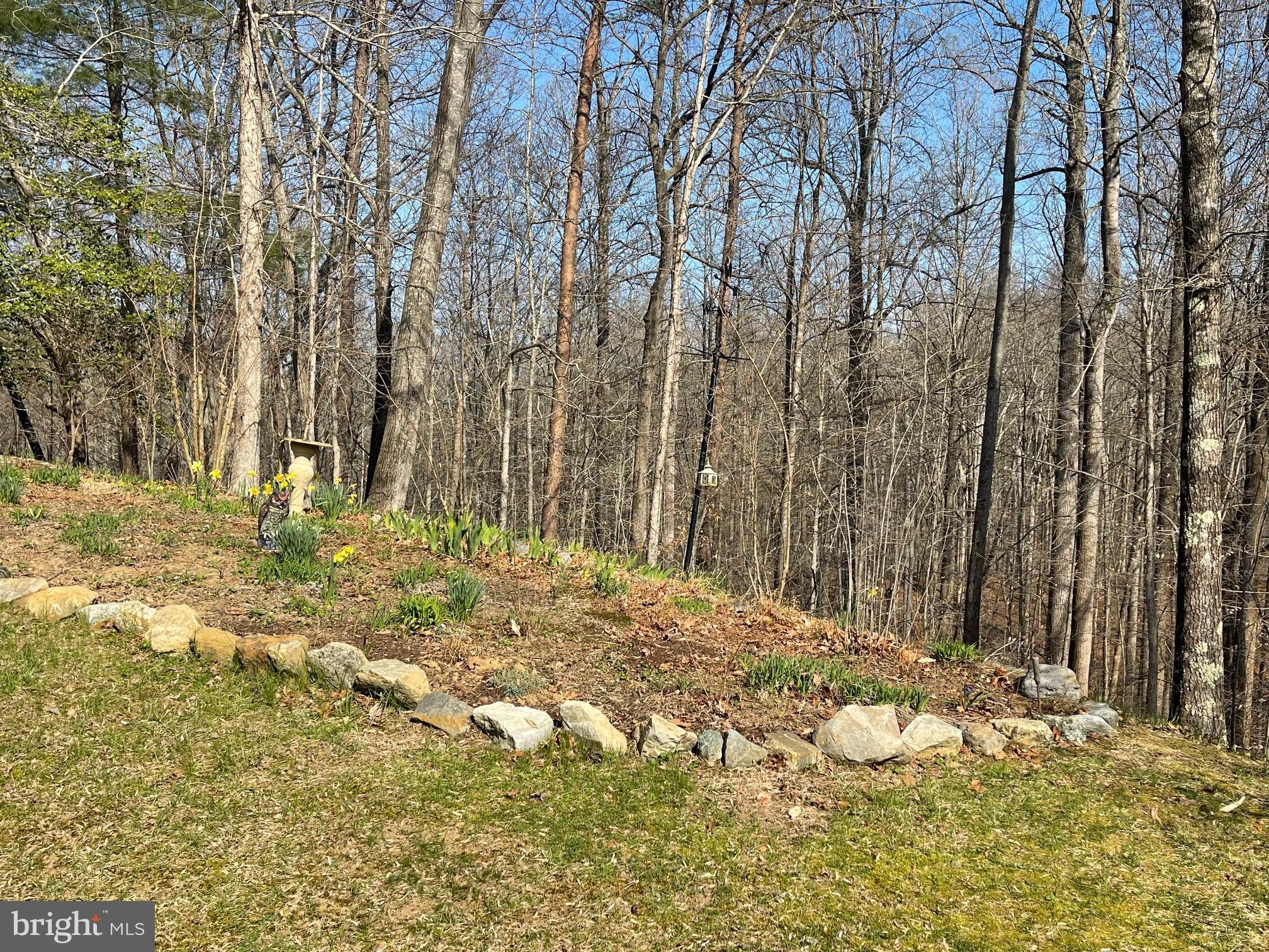 960 Dalrymple Road Sunderland, MD 20689 - Photo 8 of 13 Privacy!