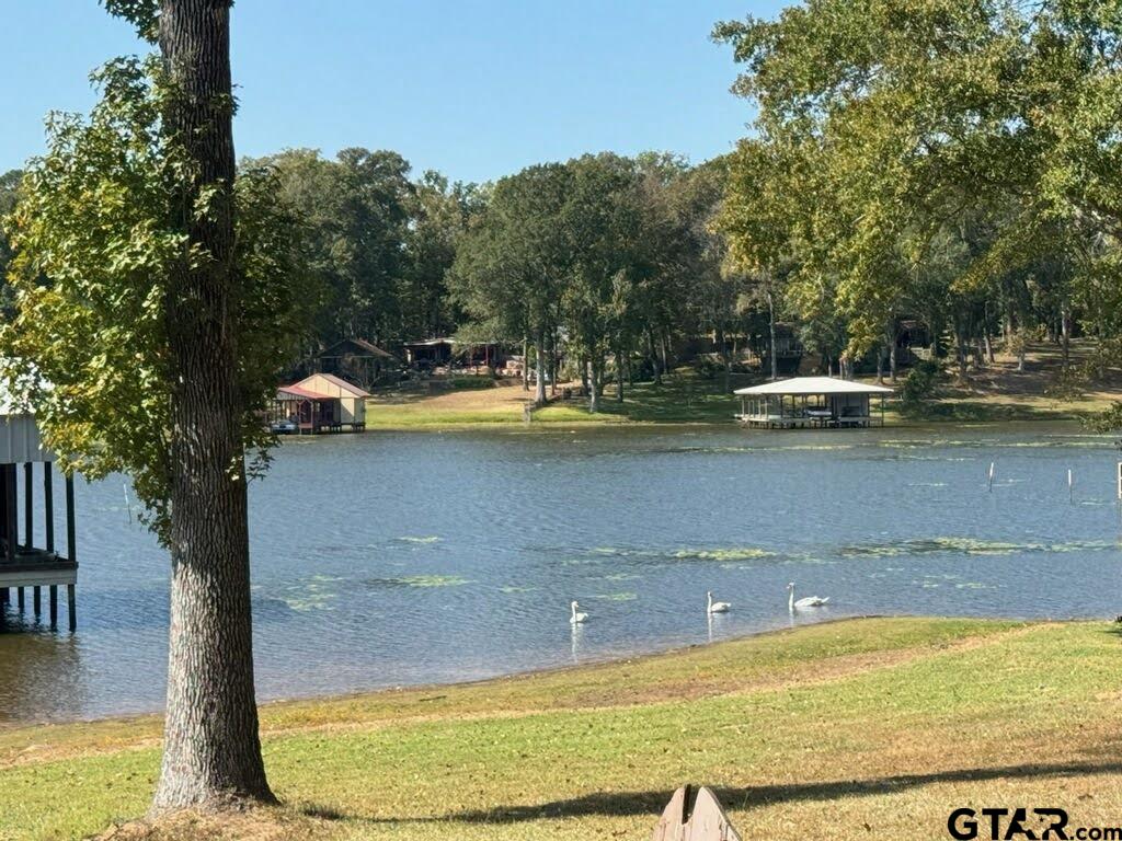 14032 Eastside Road Tyler, TX 75707 - Photo 2 of 36 a view of a swimming pool with a yard