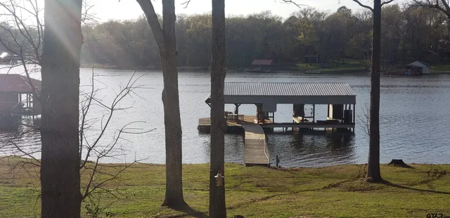 a view of a park with large trees