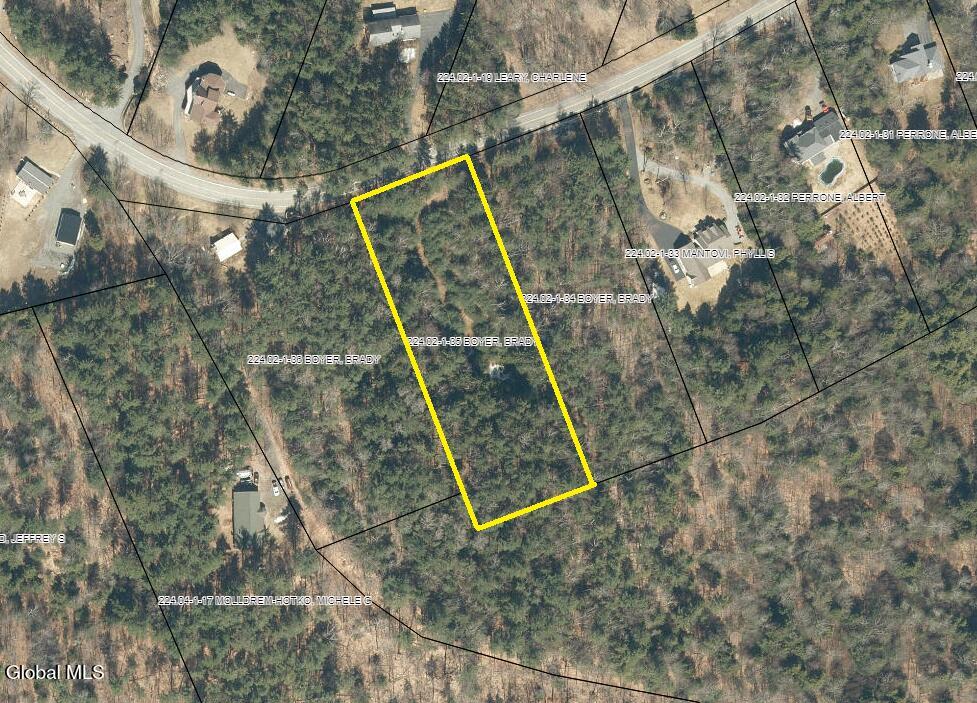 L35 Truesdale Hill Road Lake George, NY 12845 - Photo 3 of 6 Aerial2