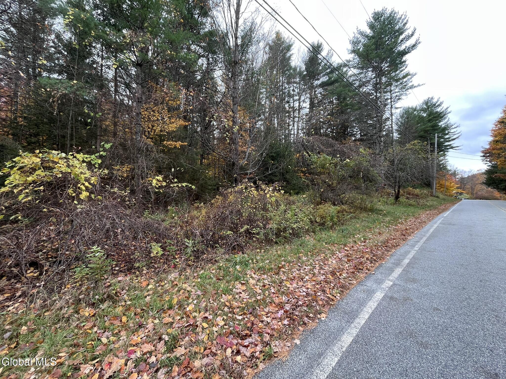 L35 Truesdale Hill Road Lake George, NY 12845 - Photo 5 of 6 IMG_4231