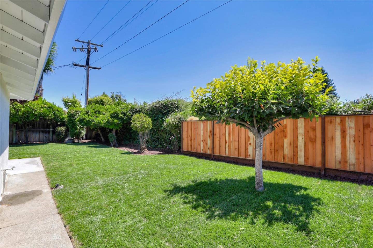 1241 Wasatch Drive Mountain View, CA 94040 - Photo 64 of 66 a backyard of a house with lots of green space