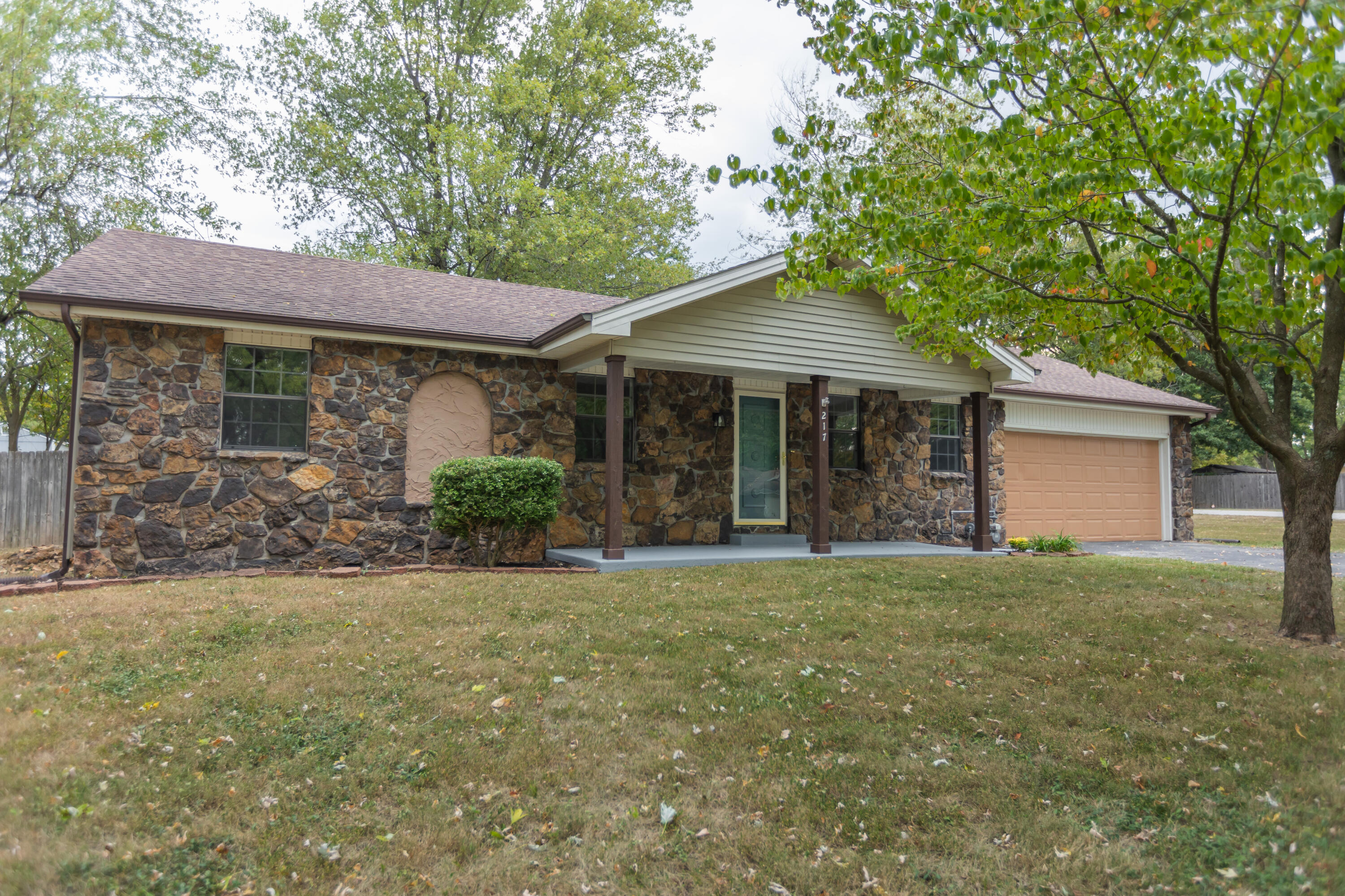 217 East Ritter Street Republic, MO 65738 - Photo 1 of 1 6T2A7336