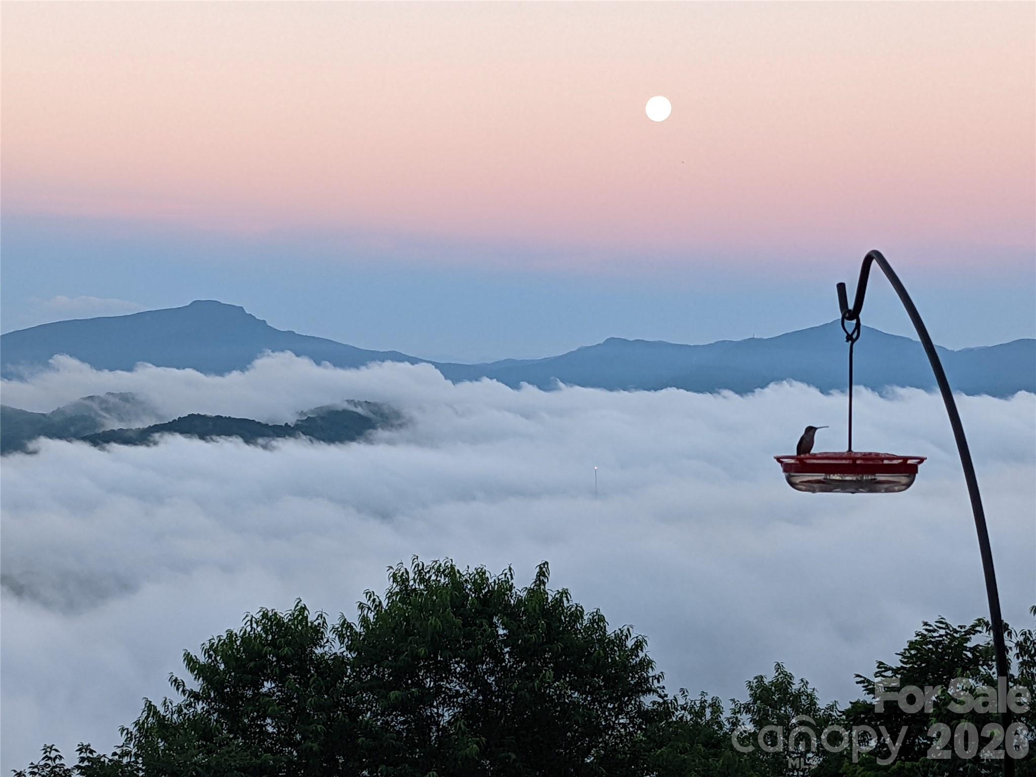 448 Howards Knob Road Boone, NC 28607 - Photo 7 of 38 a view of a lake