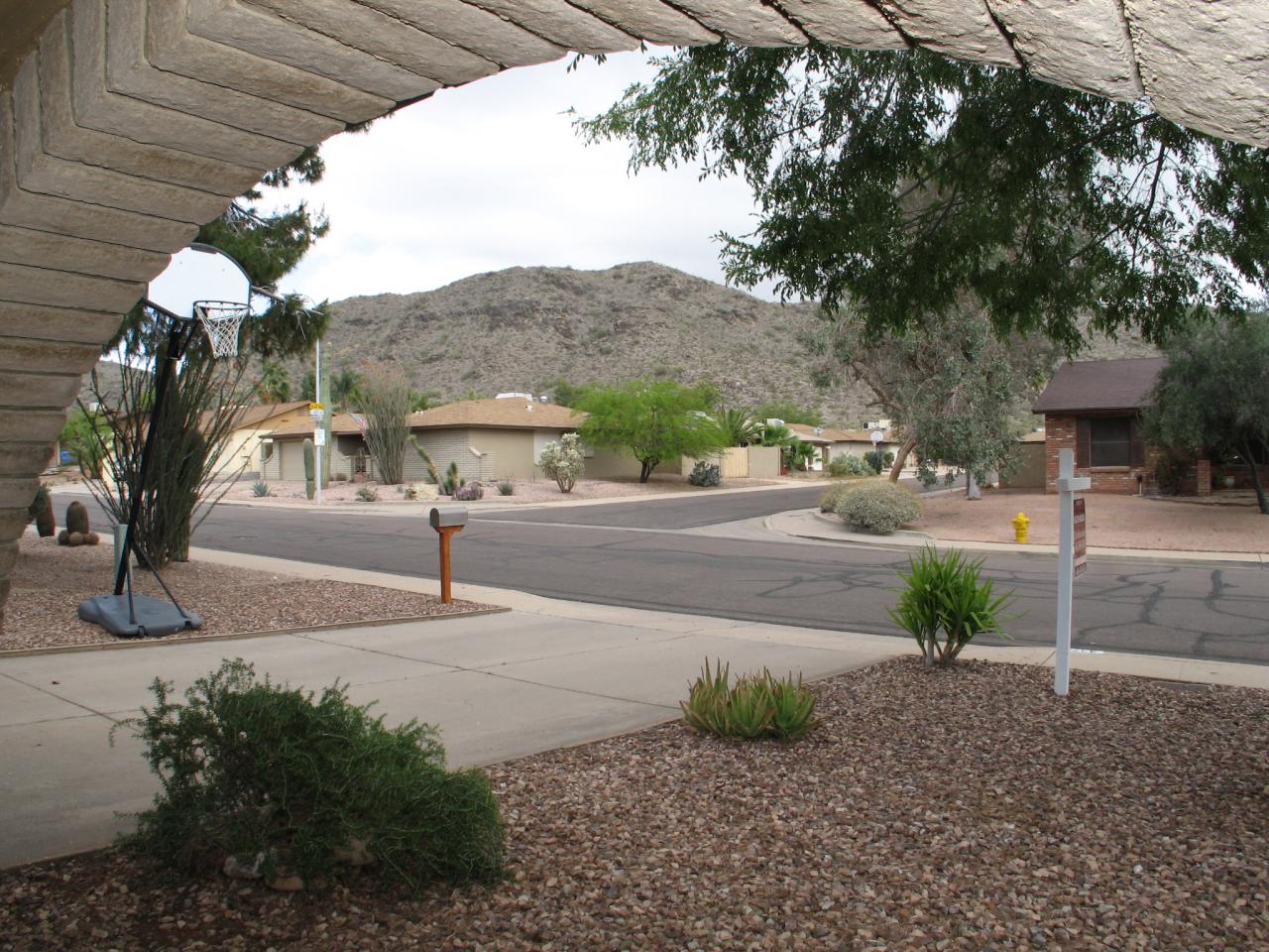 4375 East Pearce Road Phoenix, AZ 85044 - Photo 2 of 29 enjoying the view...sitting on porch