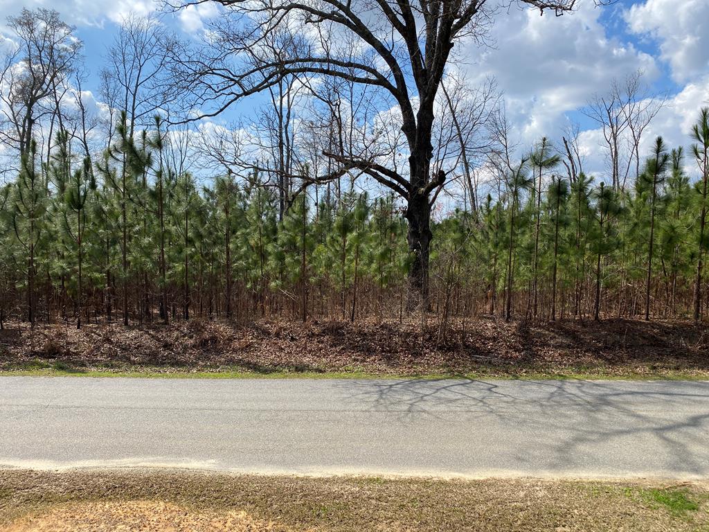 0 Baker Road Waverly Hall, GA 31831 - Photo 1 of 7 Main View