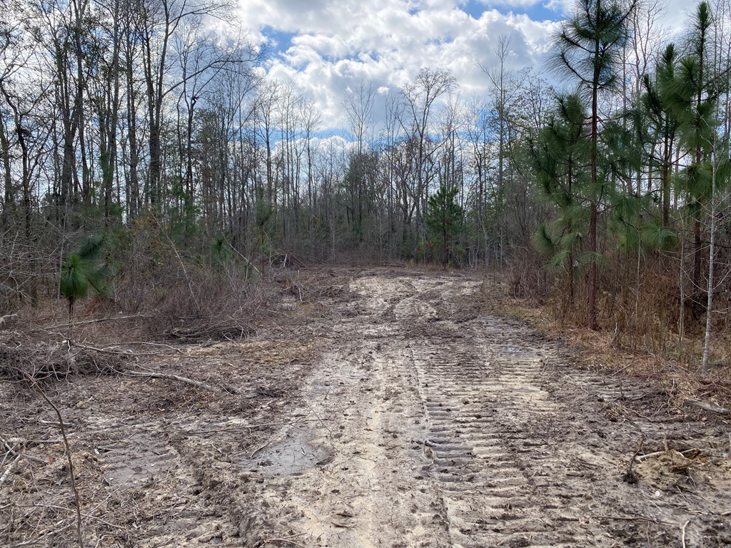 0 Baker Road Waverly Hall, GA 31831 - Photo 2 of 7