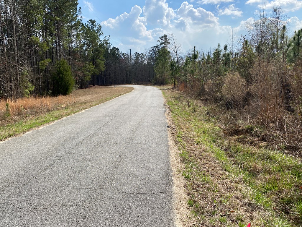 0 Baker Road Waverly Hall, GA 31831 - Photo 5 of 7
