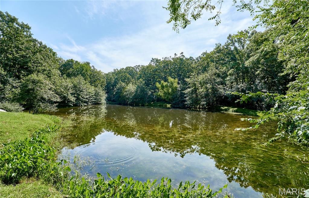 9 Buelah Drive Troy, MO 63379 - Photo 16 of 82