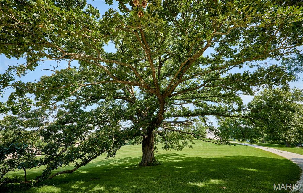 9 Buelah Drive Troy, MO 63379 - Photo 32 of 82