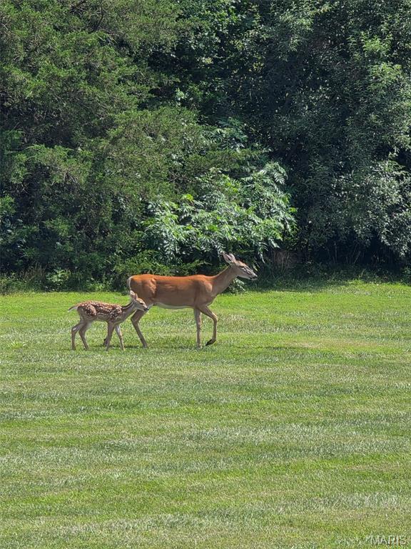 9 Buelah Drive Troy, MO 63379 - Photo 70 of 82