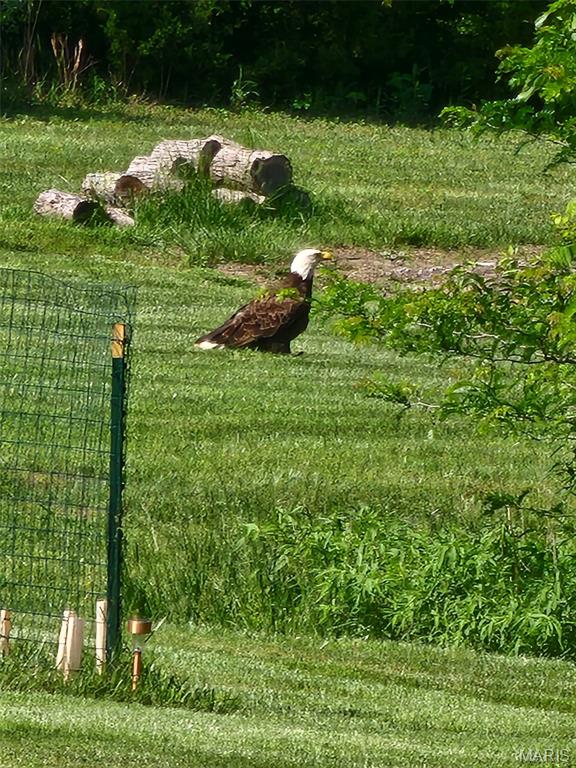 9 Buelah Drive Troy, MO 63379 - Photo 71 of 82