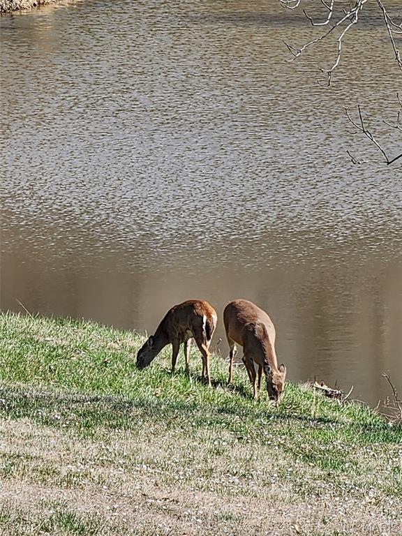 9 Buelah Drive Troy, MO 63379 - Photo 74 of 82