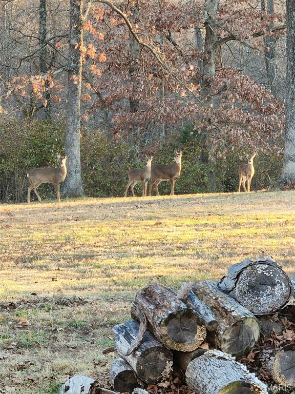 9 Buelah Drive Troy, MO 63379 - Photo 75 of 82