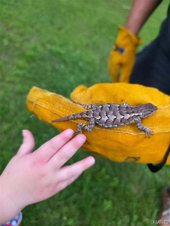 9 Buelah Drive Troy, MO 63379 - Photo 76 of 82
