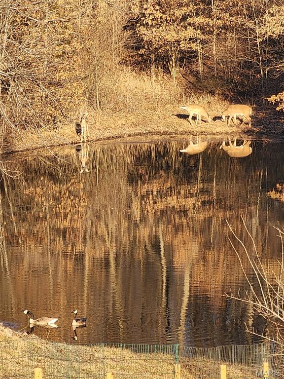 9 Buelah Drive Troy, MO 63379 - Photo 78 of 82