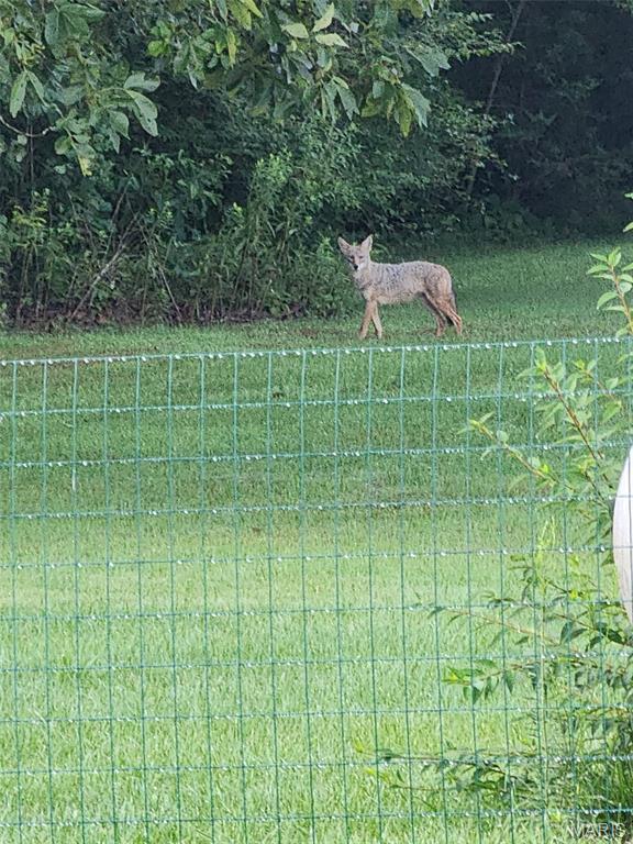 9 Buelah Drive Troy, MO 63379 - Photo 79 of 82