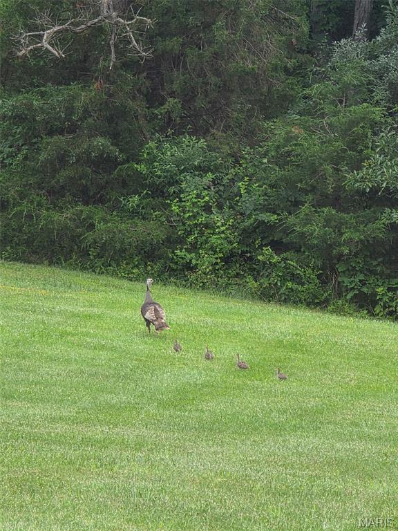 9 Buelah Drive Troy, MO 63379 - Photo 80 of 82