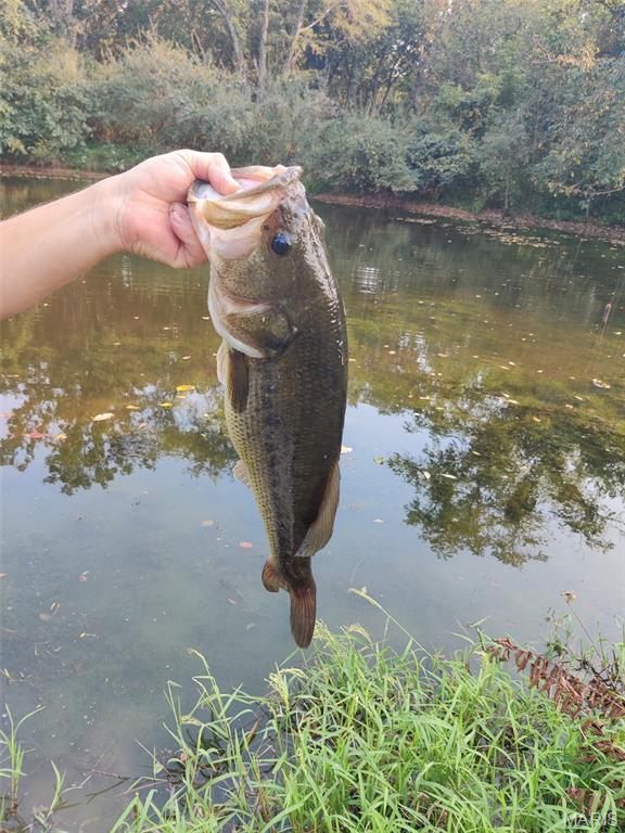 9 Buelah Drive Troy, MO 63379 - Photo 82 of 82