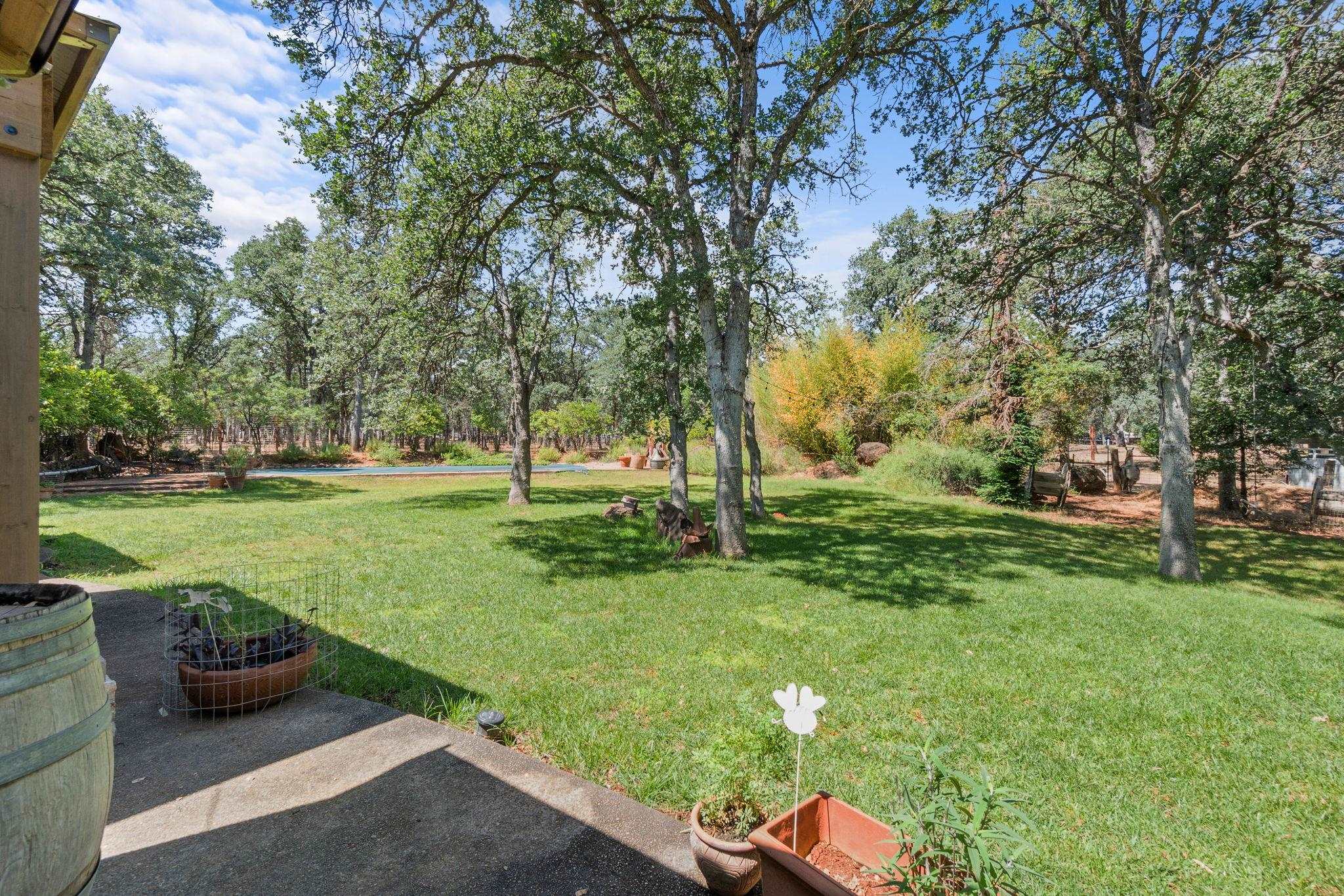 13180 Montecito Road Red Bluff, CA 96080 - Photo 52 of 75