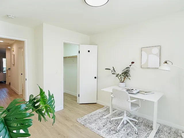 a living room with furniture and a potted plant