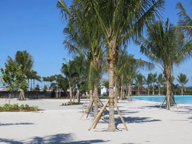 a park view with palm trees