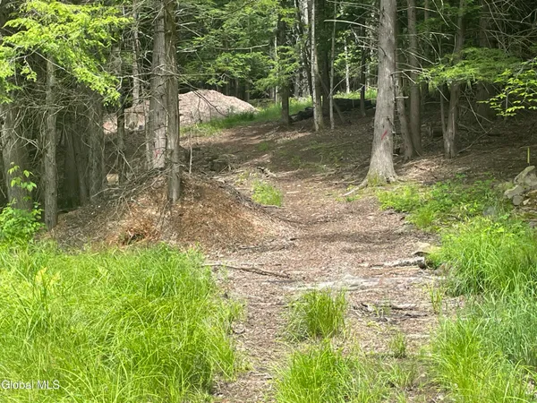 $159,900 | Tbd Boulder Brook Road, Unit LOT # 12, Windham, NY 12496
