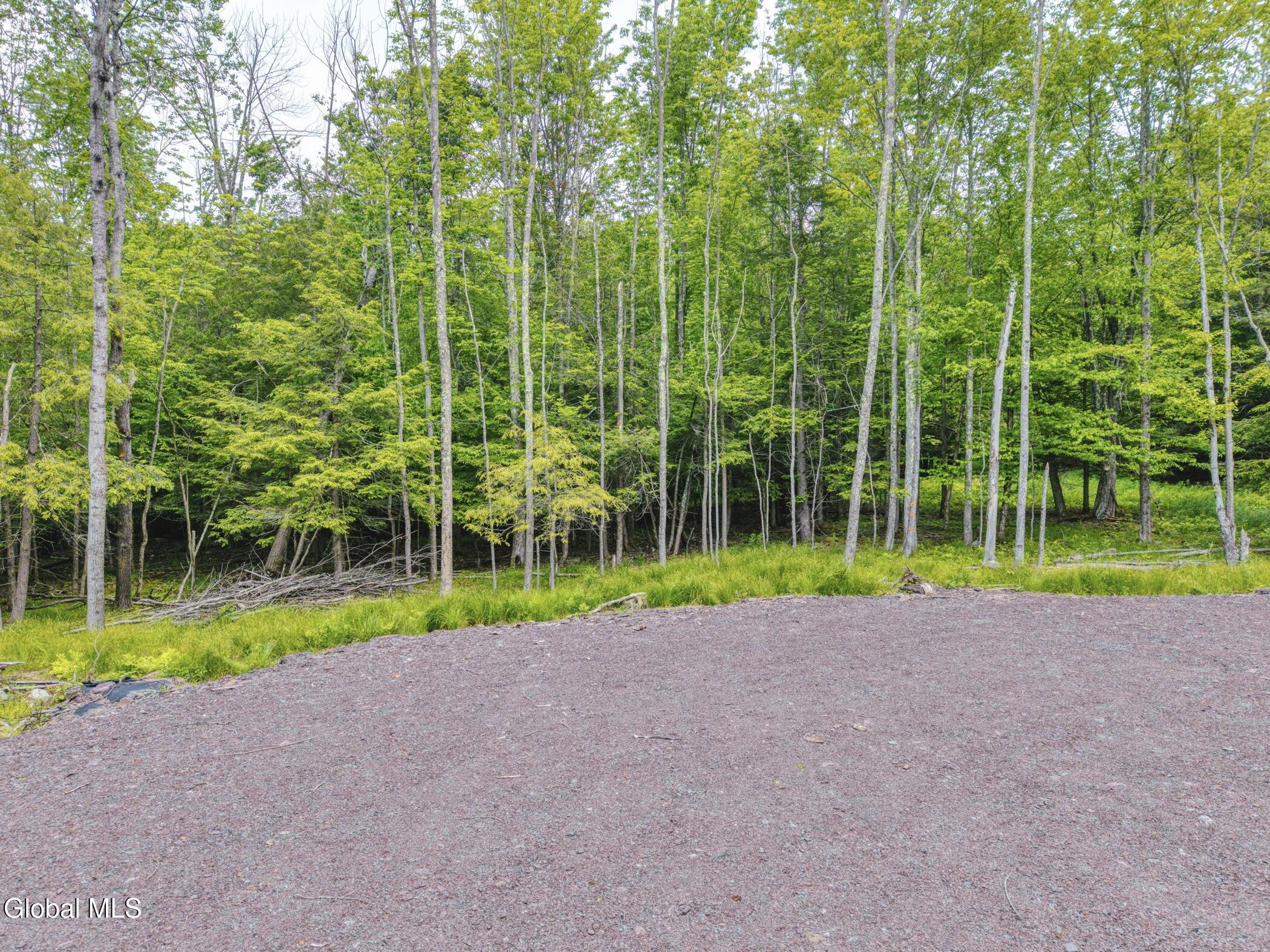 Tbd Boulder Brook Road, Unit LOT # 12 Windham, NY 12496 - Photo 42 of 44 Image-65