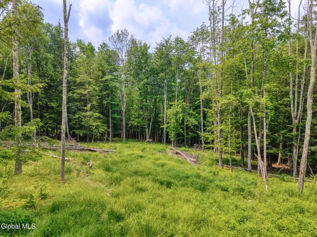 $159,900 | Tbd Boulder Brook Road, Unit LOT # 12, Windham, NY 12496