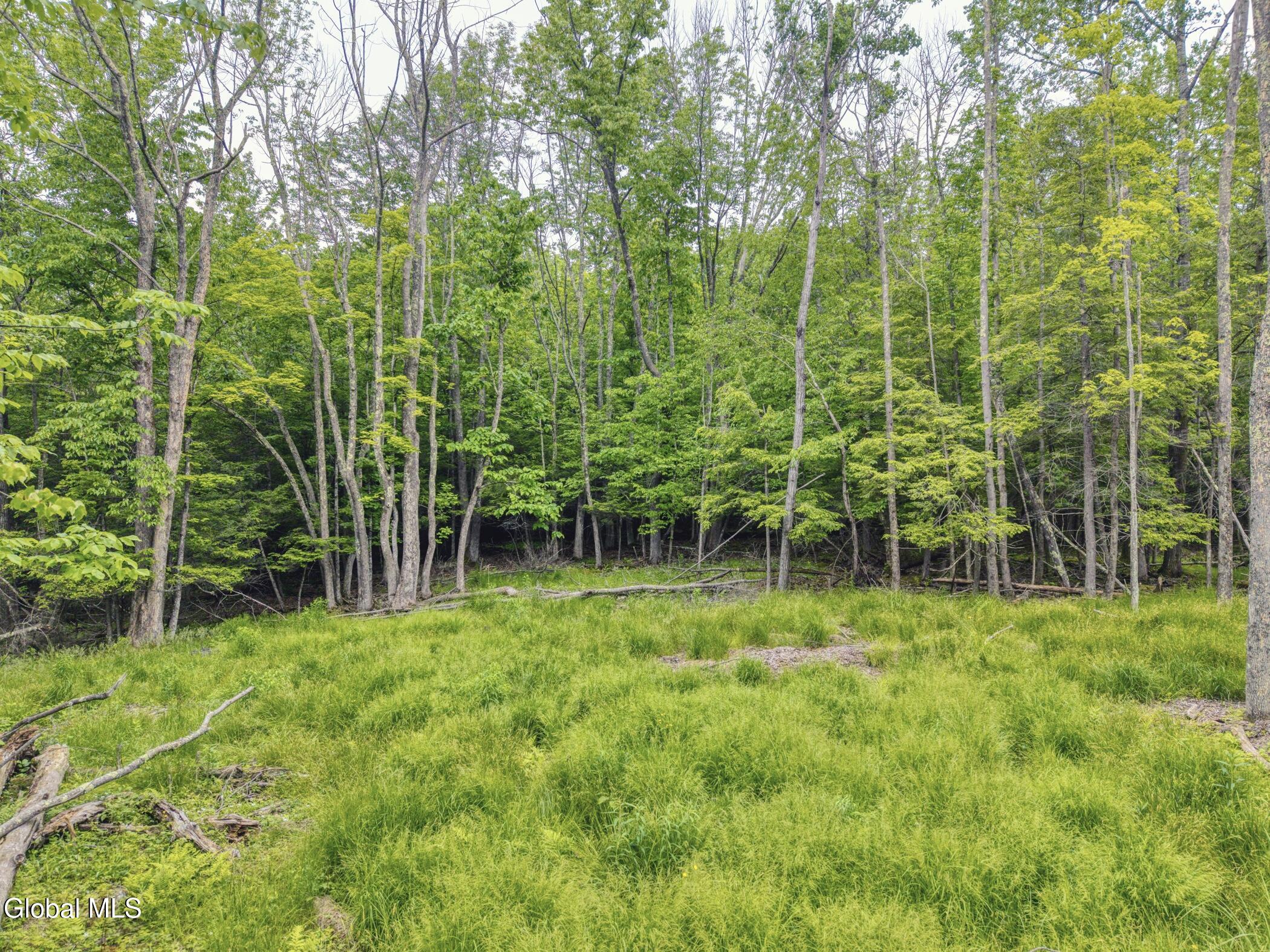 Tbd Boulder Brook Road, Unit LOT # 12 Windham, NY 12496 - Photo 8 of 44 Image-75