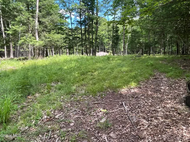$159,900 | Tbd Boulder Brook Road, Unit LOT # 12, Windham, NY 12496