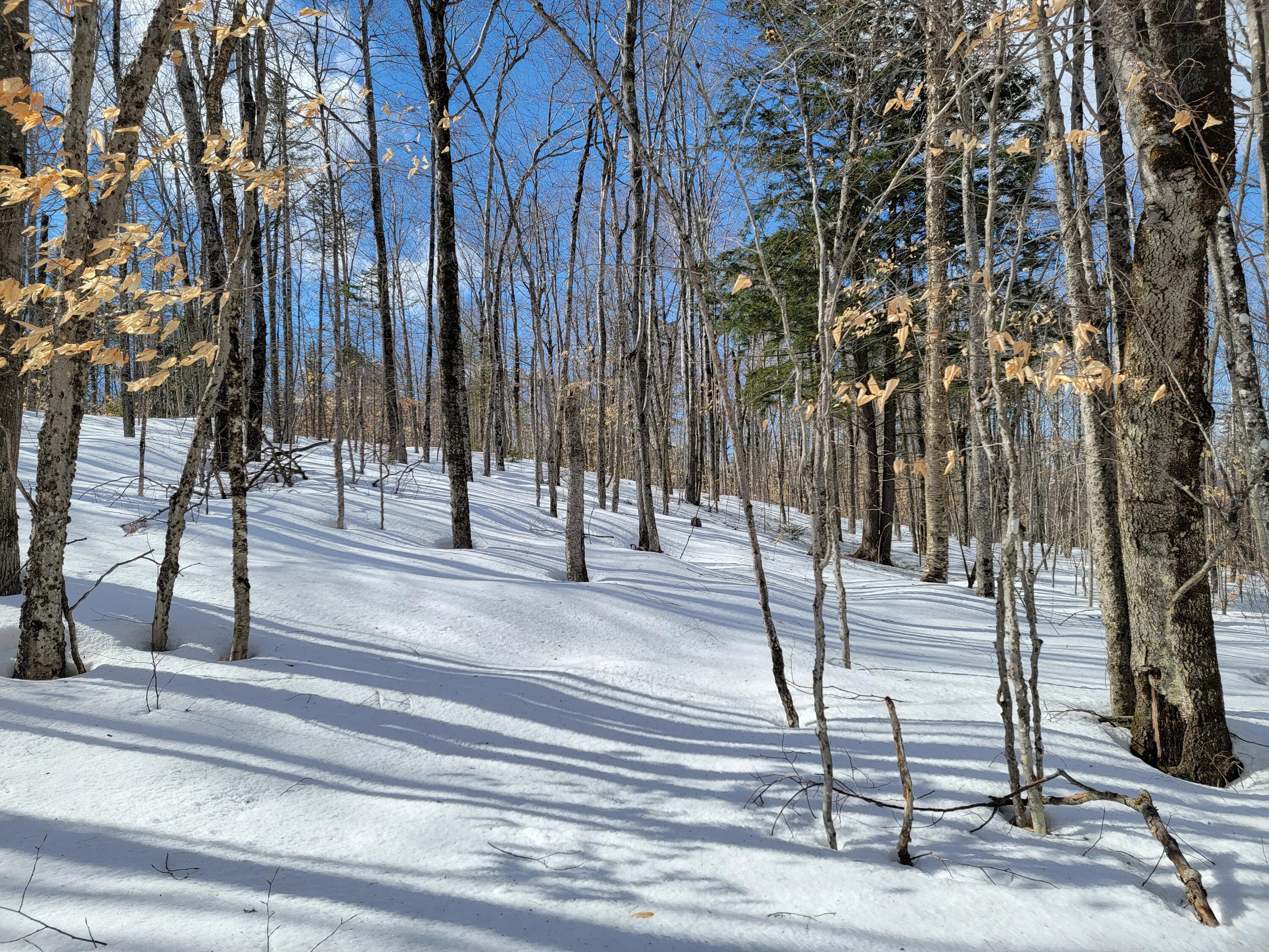 M3-l8b Roxbury Notch Road Roxbury, ME 04275 - Photo 12 of 38 Roxbury Notch Lot 8B