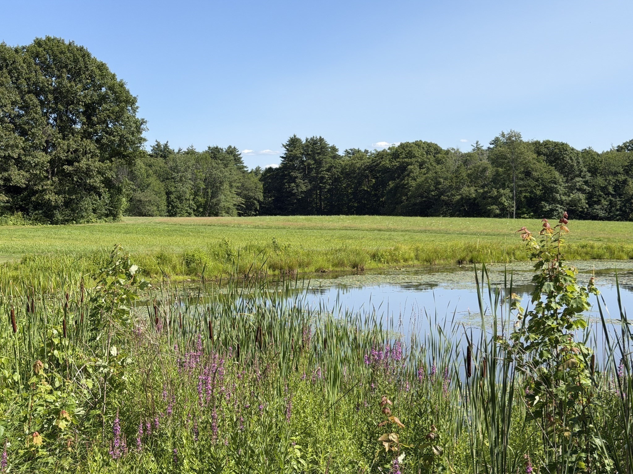 337 New Salem Road Petersham, MA 01366 - Photo 15 of 18 Gallery Image 15