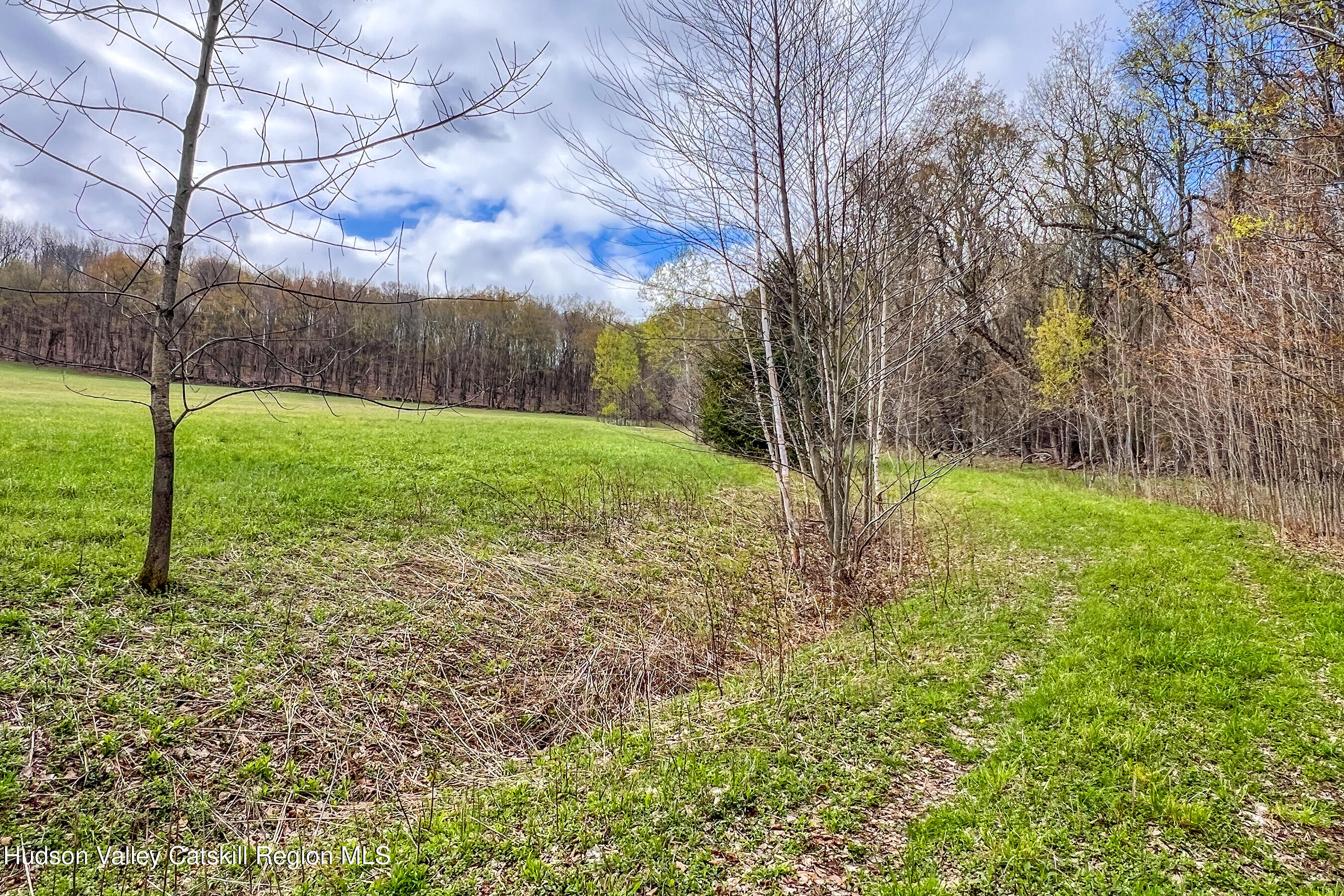 0 Brownell Road Bloomville, NY 13739 - Photo 9 of 39 23 acres Brownell Rd -- 007
