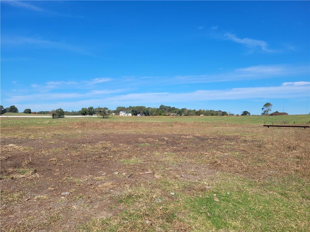 8175 Sandy Cross Road Carnesville, GA 30521 - Photo 2 of 2 a view of an ocean