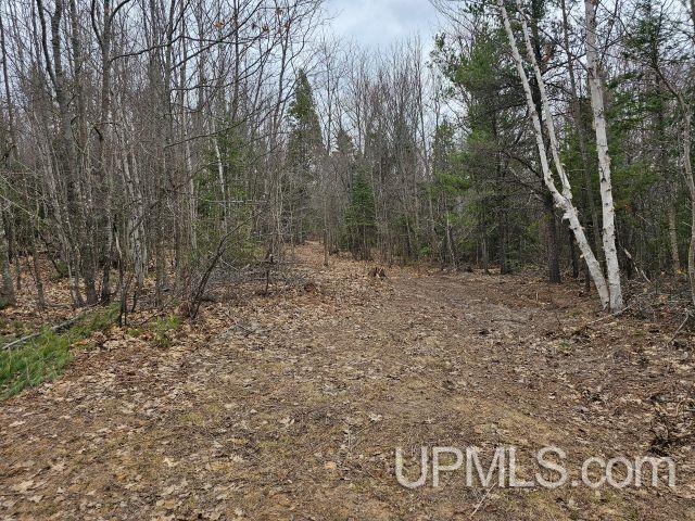 40-acres 40-acres Off Co Road Ishpeming, MI 49849 - Photo 3 of 4