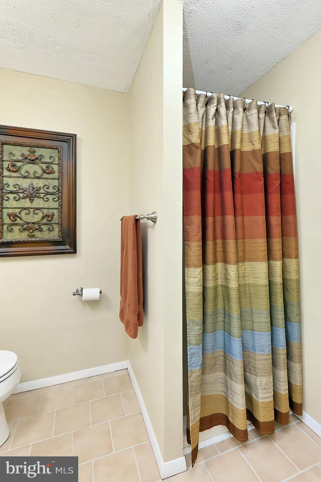 8108 Viola Street Springfield, VA 22152 - Photo 36 of 61 Lower level bath with stall shower