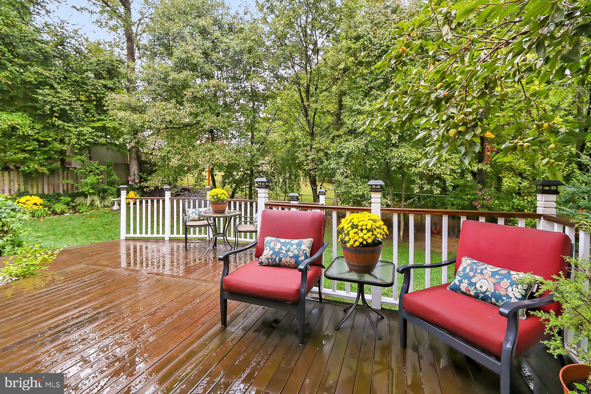 8108 Viola Street Springfield, VA 22152 - Photo 41 of 61 Rear deck