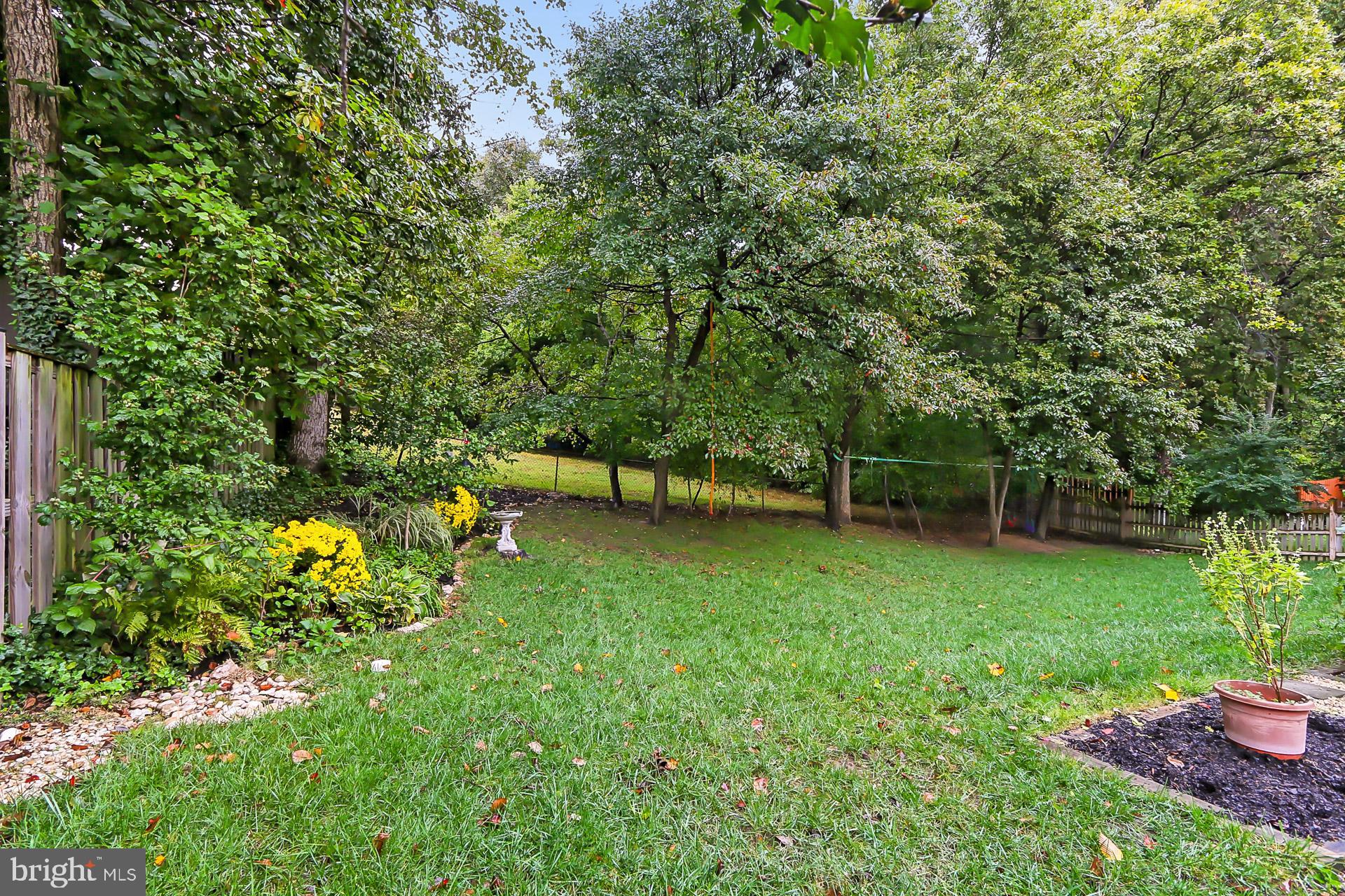 8108 Viola Street Springfield, VA 22152 - Photo 45 of 61 Back yard