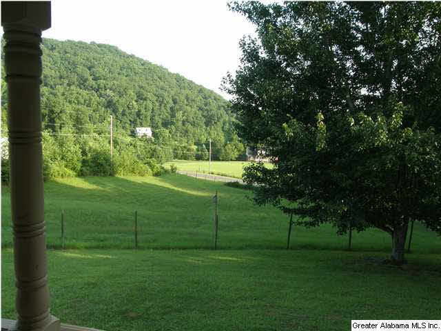 5540 Miles Spring Road Pinson, AL 35126 - Photo 25 of 28