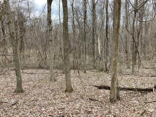 0 Mt Olive Road Rockbridge, OH 43149 - Photo 4 of 8 Mt Olive Forest