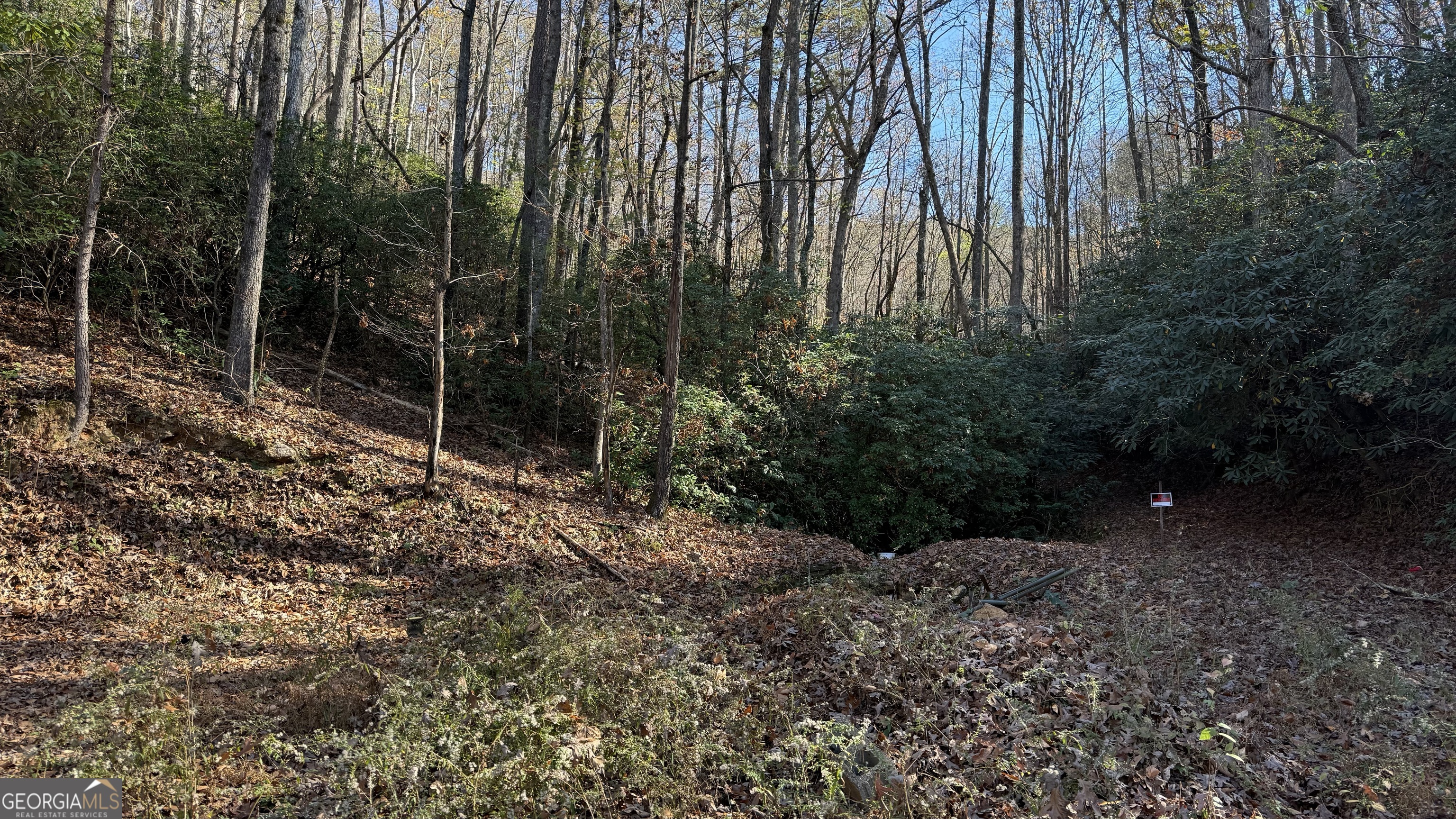 0 Goshen Road Clarkesville, GA 30523 - Photo 16 of 19