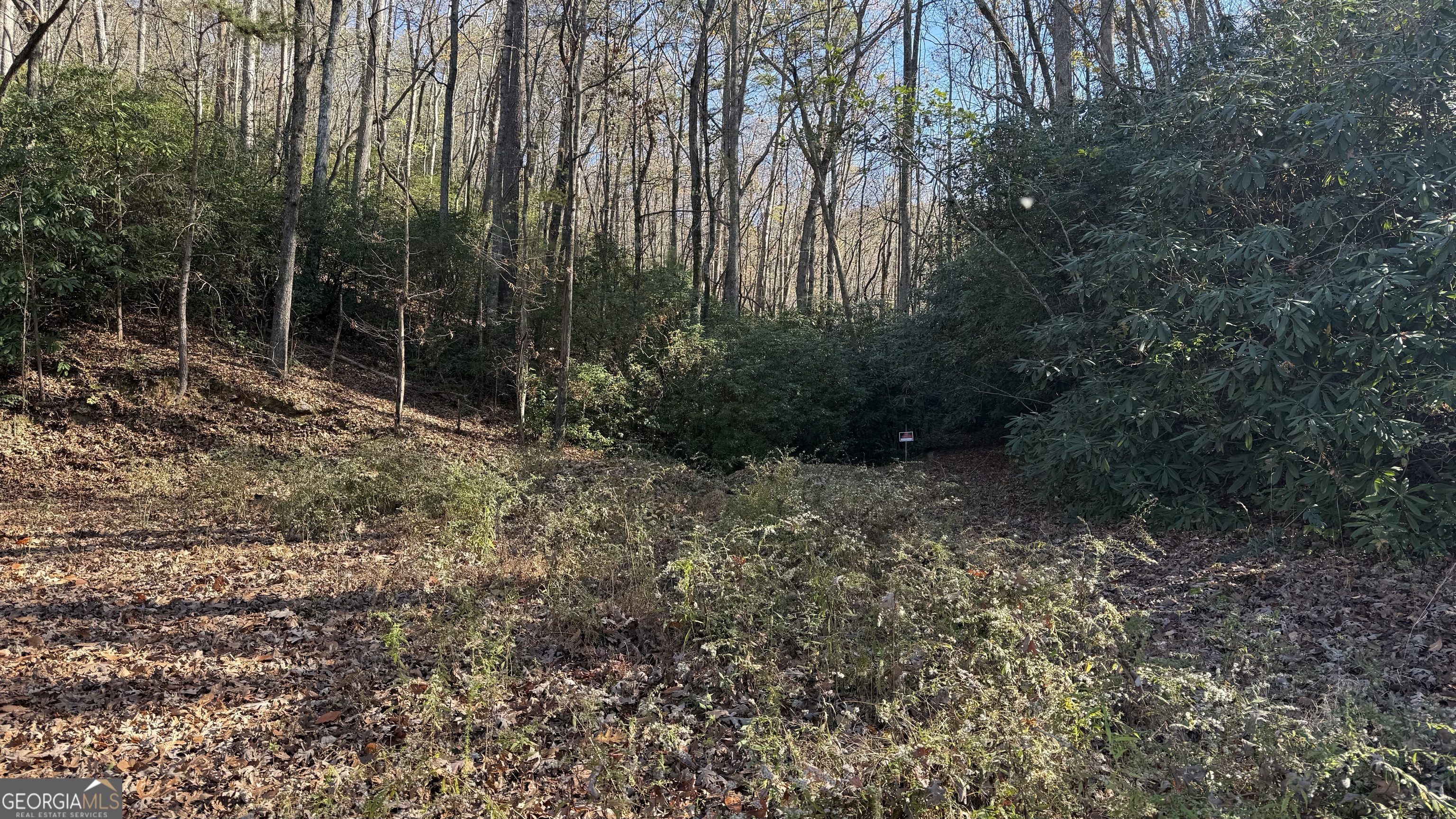 0 Goshen Road Clarkesville, GA 30523 - Photo 17 of 19