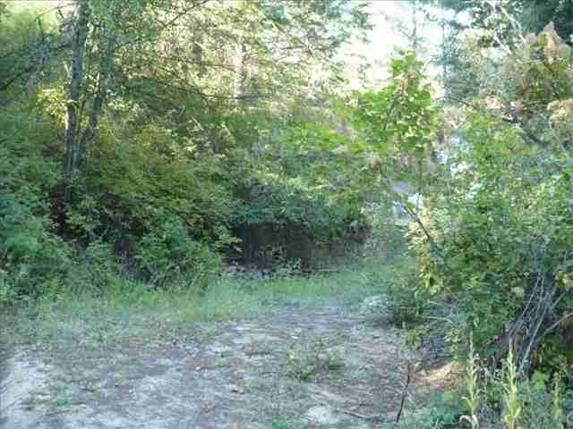 4099 Tamarack Bay Road Loon Lake, WA 99148 - Photo 1 of 9 Gallery Image 1