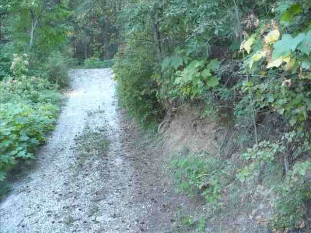4099 Tamarack Bay Road Loon Lake, WA 99148 - Photo 2 of 9 Gallery Image 2