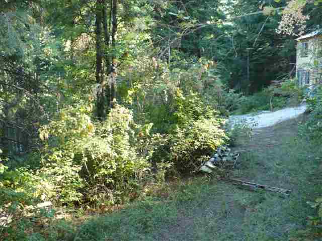 4099 Tamarack Bay Road Loon Lake, WA 99148 - Photo 6 of 9 Gallery Image 6