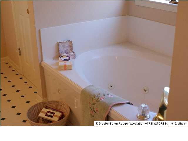 8325 Calmes Road Denham Springs, LA 70706 - Photo 9 of 16 Gallery Image 9