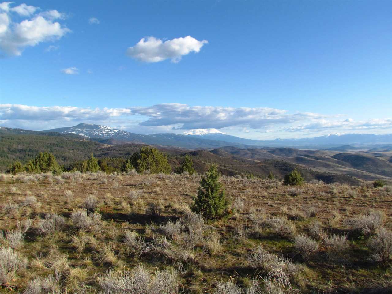 0 Faith Road Montague, CA 96064 - Photo 24 of 27 Gallery Image 24